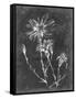 Slate Floral III-Ethan Harper-Framed Stretched Canvas