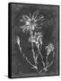 Slate Floral III-Ethan Harper-Framed Stretched Canvas