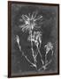 Slate Floral III-Ethan Harper-Framed Art Print