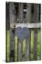 Slate Heart, Marks, Welcome Home, Old Fence-Andrea Haase-Stretched Canvas