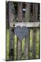 Slate Heart, Marks, Welcome Home, Old Fence-Andrea Haase-Mounted Photographic Print