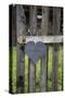 Slate Heart, Marks, Welcome Home, Old Fence-Andrea Haase-Stretched Canvas