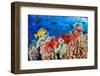 Slate pencil sea urchin on a reef, Maui, Hawaii, Pacific Ocean-David Fleetham-Framed Photographic Print