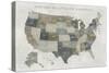 Slate US Map-Sue Schlabach-Stretched Canvas