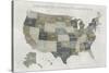 Slate US Map-Sue Schlabach-Stretched Canvas