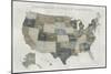 Slate US Map-Sue Schlabach-Mounted Premium Giclee Print