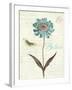 Slated Blue IV Believe-Katie Pertiet-Framed Art Print