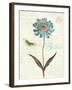 Slated Blue IV Believe-Katie Pertiet-Framed Art Print