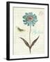 Slated Blue IV Believe-Katie Pertiet-Framed Art Print