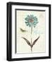 Slated Blue IV Believe-Katie Pertiet-Framed Art Print