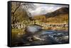 Slaters Bridge in Little Langdale November-null-Framed Stretched Canvas