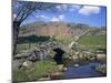 Slaters Bridge, Little Langdale, Lake District, Cumbria, England, United Kingdom, Europe-Rainford Roy-Mounted Photographic Print