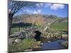 Slaters Bridge, Little Langdale, Lake District, Cumbria, England, United Kingdom, Europe-Rainford Roy-Mounted Photographic Print