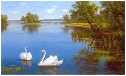 Swans on the Lake-Slava-Art Print