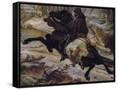 Canvas Black
