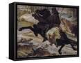 Canvas Black