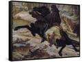 Canvas Black