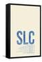 SLC ATC-08 Left-Framed Stretched Canvas