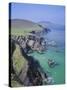 Slea Head, Dingle Peninsula, County Kerry, Munster, Republic of Ireland (Eire), Europe-Roy Rainford-Stretched Canvas