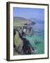 Slea Head, Dingle Peninsula, County Kerry, Munster, Republic of Ireland (Eire), Europe-Roy Rainford-Framed Photographic Print