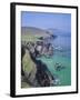 Slea Head, Dingle Peninsula, County Kerry, Munster, Republic of Ireland (Eire), Europe-Roy Rainford-Framed Photographic Print