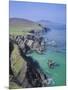 Slea Head, Dingle Peninsula, County Kerry, Munster, Republic of Ireland (Eire), Europe-Roy Rainford-Mounted Photographic Print