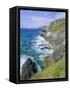 Slea Head, Dingle Peninsula, County Kerry, Munster, Republic of Ireland (Eire), Europe-Roy Rainford-Framed Stretched Canvas