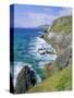 Slea Head, Dingle Peninsula, County Kerry, Munster, Republic of Ireland (Eire), Europe-Roy Rainford-Stretched Canvas