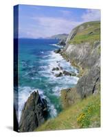 Slea Head, Dingle Peninsula, County Kerry, Munster, Republic of Ireland (Eire), Europe-Roy Rainford-Stretched Canvas