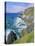 Slea Head, Dingle Peninsula, County Kerry, Munster, Republic of Ireland (Eire), Europe-Roy Rainford-Stretched Canvas