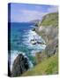 Slea Head, Dingle Peninsula, County Kerry, Munster, Republic of Ireland (Eire), Europe-Roy Rainford-Stretched Canvas