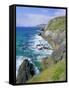 Slea Head, Dingle Peninsula, County Kerry, Munster, Republic of Ireland (Eire), Europe-Roy Rainford-Framed Stretched Canvas