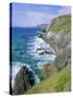 Slea Head, Dingle Peninsula, County Kerry, Munster, Republic of Ireland (Eire), Europe-Roy Rainford-Stretched Canvas