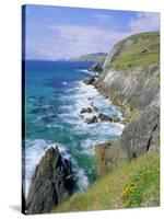 Slea Head, Dingle Peninsula, County Kerry, Munster, Republic of Ireland (Eire), Europe-Roy Rainford-Stretched Canvas