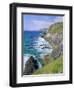 Slea Head, Dingle Peninsula, County Kerry, Munster, Republic of Ireland (Eire), Europe-Roy Rainford-Framed Premium Photographic Print