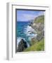 Slea Head, Dingle Peninsula, County Kerry, Munster, Republic of Ireland (Eire), Europe-Roy Rainford-Framed Premium Photographic Print