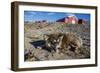 Sled Dog, Inuit Village, Ittoqqortoormiit, Scoresbysund, Northeast Greenland, Polar Regions-Michael Nolan-Framed Photographic Print