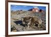 Sled Dog, Inuit Village, Ittoqqortoormiit, Scoresbysund, Northeast Greenland, Polar Regions-Michael Nolan-Framed Photographic Print