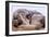 Sled Dog Sleeping after the Iditarod-Paul Souders-Framed Photographic Print