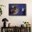 Sled Dog Sticking Head Through Hole-null-Framed Photographic Print displayed on a wall