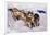 Sled Dog Team-Paul Souders-Framed Photographic Print