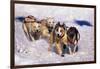 Sled Dog Team-Paul Souders-Framed Photographic Print