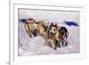 Sled Dog Team-Paul Souders-Framed Photographic Print