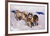 Sled Dog Team-Paul Souders-Framed Photographic Print