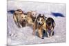 Sled Dog Team-Paul Souders-Mounted Photographic Print