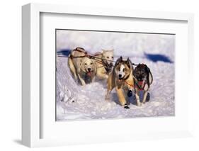 Sled Dog Team-Paul Souders-Framed Photographic Print