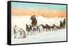 Sled Dog Team-null-Framed Stretched Canvas