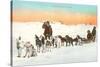 Sled Dog Team-null-Stretched Canvas