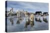 Sled Dogs, Nunavut, Canada-Paul Souders-Stretched Canvas