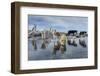 Sled Dogs, Nunavut, Canada-Paul Souders-Framed Photographic Print